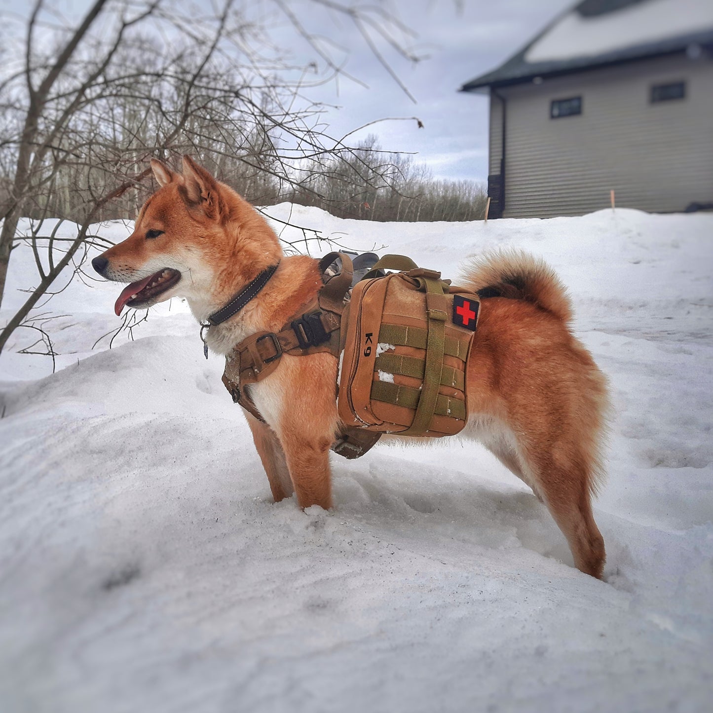 K9 Medical Kits (for dogs)